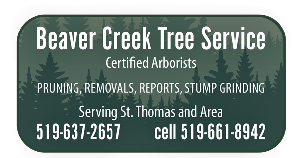 Beaver Creek Tree Service